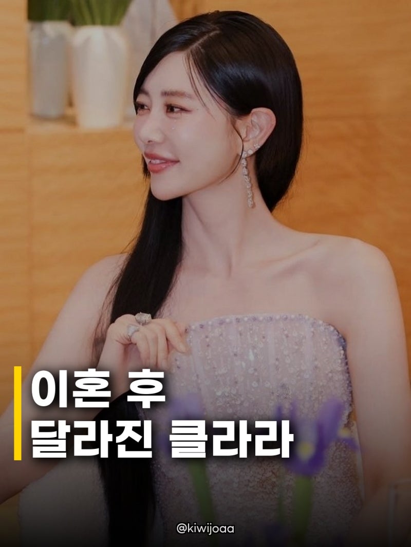 클라라 이혼 후 얼굴 변화, 달라진 미모에 시선 집중