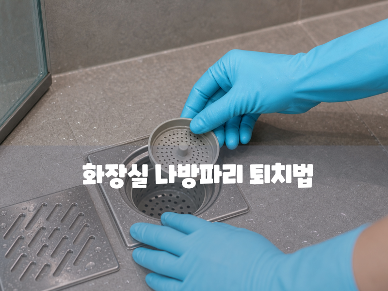 화장실 나방파리 퇴치법 뜨거운 물만 부으면 안 되는 이유 (서식지 원인 박멸)