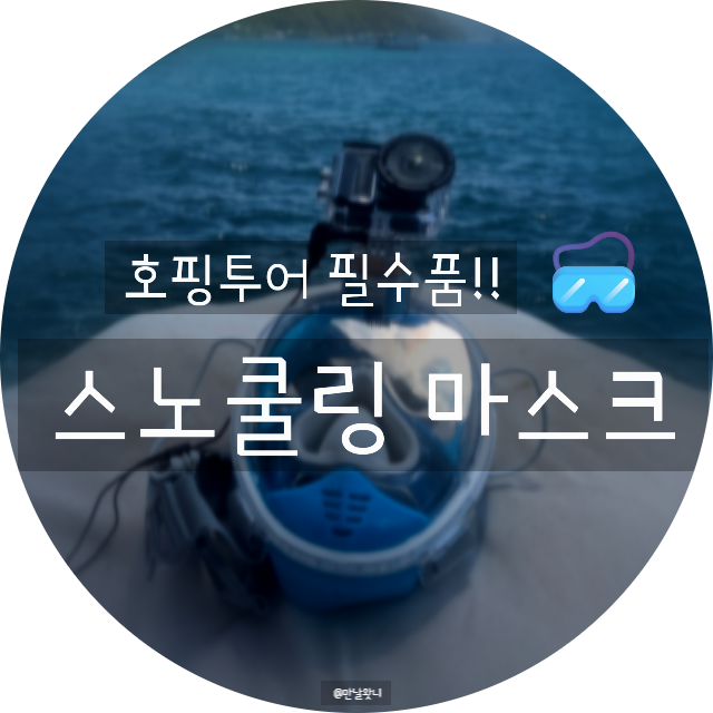 나트랑 호핑투어 필수 준비물 추천 듀얼브레서 프리다이빙 V3 풀페이스 스노쿨링 마스크 실....