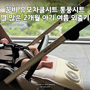 꿈비 유모차쿨시트 통풍시트, 열 많은 2개월 아기 잉글레시나 여름 외출기