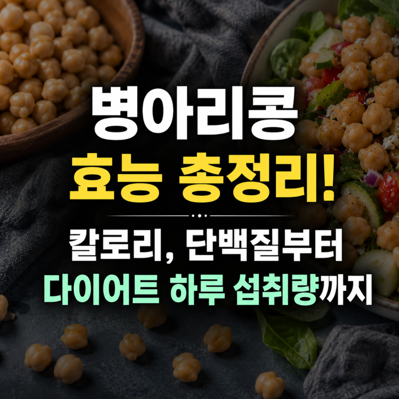 병아리콩 효능 총정리! 칼로리, 단백질부터 다이어트 하루 섭취량까지