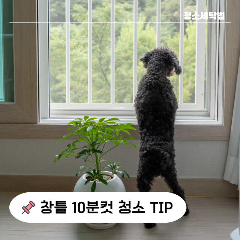 "10분이면 끝?" 베란다 창틀 청소 방법 베이킹소다 나무젓가락이면 된다