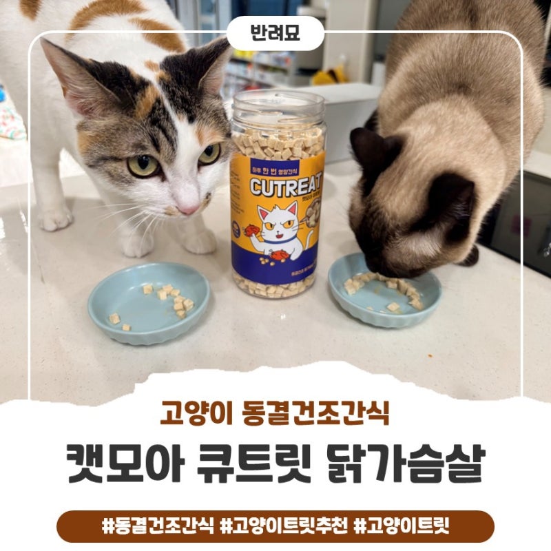 고양이트릿 추천 캣모아 큐트릿 닭가슴살｜바삭한 고양이 동결건조간식 후기