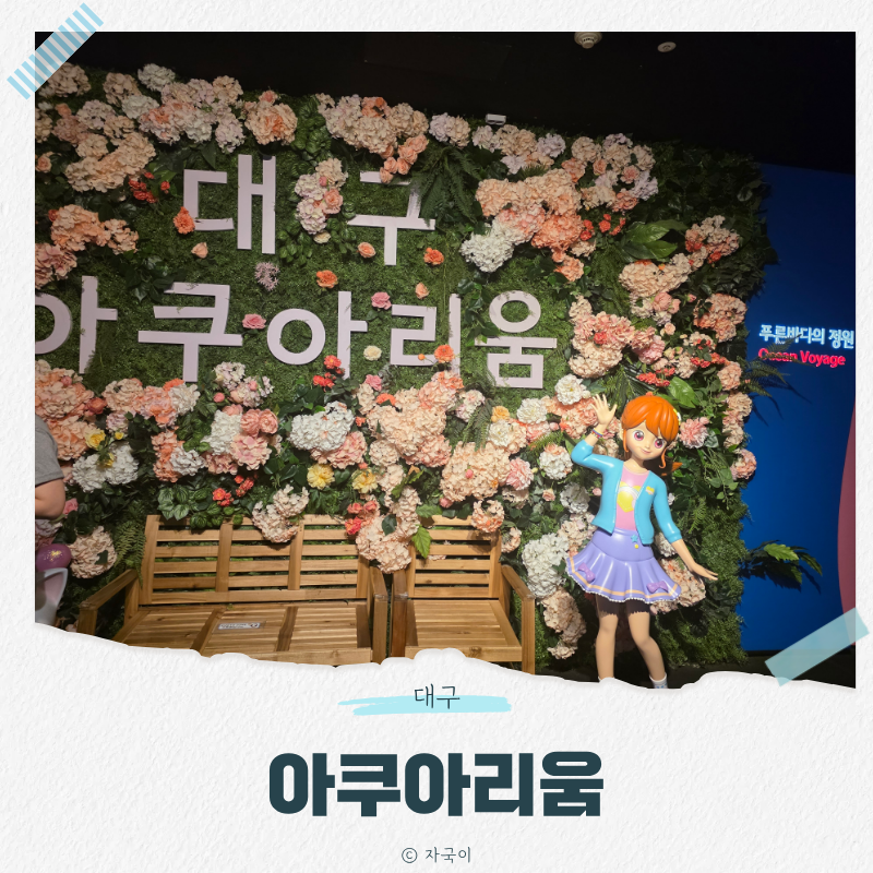 대구아쿠아리움 후기, 신세계백화점 9층 대구데이트코스로 완벽한 실내관광지