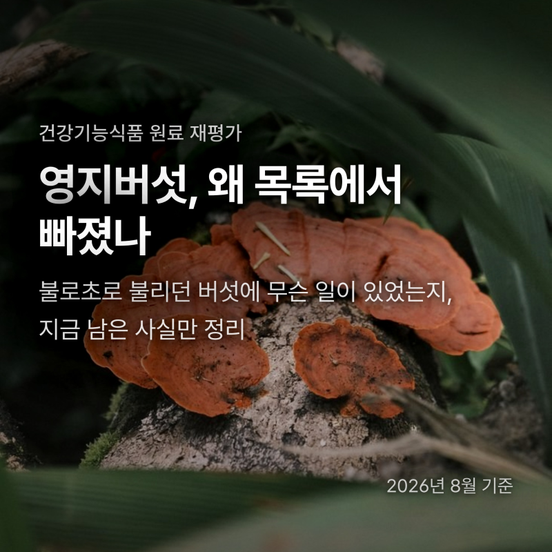 영지버섯 효능, 건강기능식품 원료에서 삭제된 진짜 이유