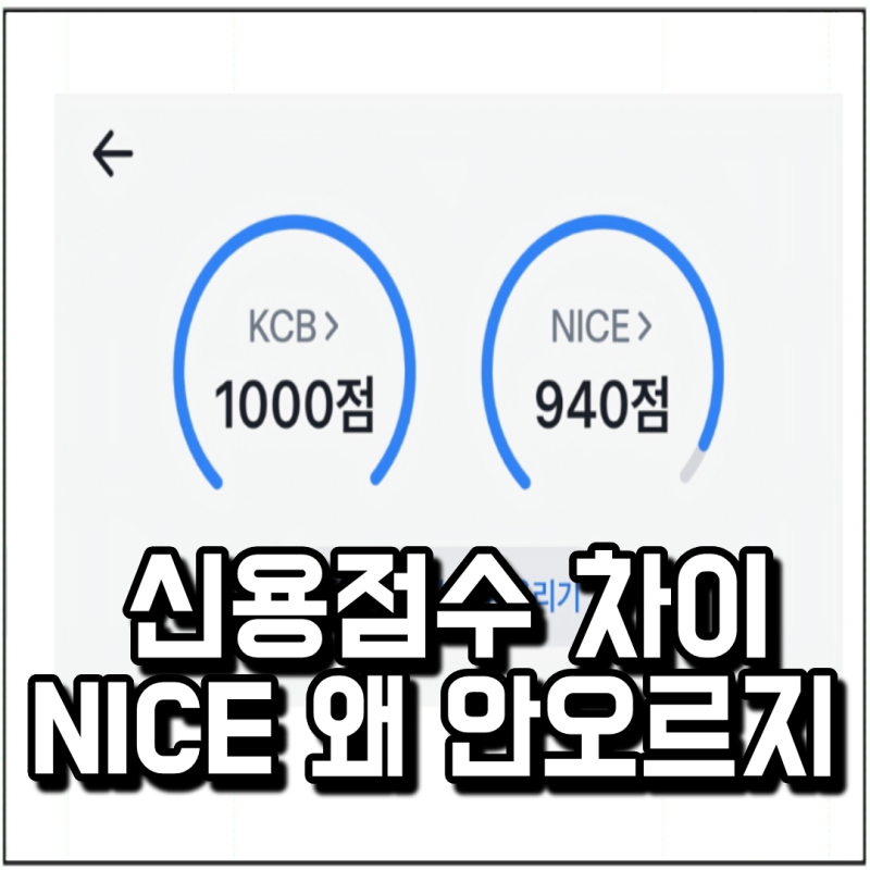 신용점수 KCB NICE 차이 뭐길래? KCB만 1000점, NICE 오르지 않는 이유