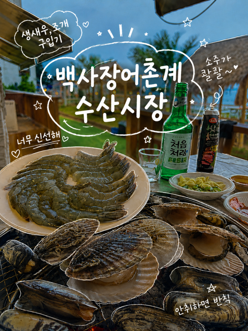 태안여행 백사장어촌계수산시장 서화수산 생새우,조개류,쥐포 구입정보(내돈내산)