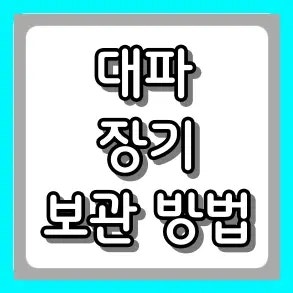 대파 장기 보관 방법. 싱싱하게 한 달 이상 냉장·냉동 보관하는 꿀팁