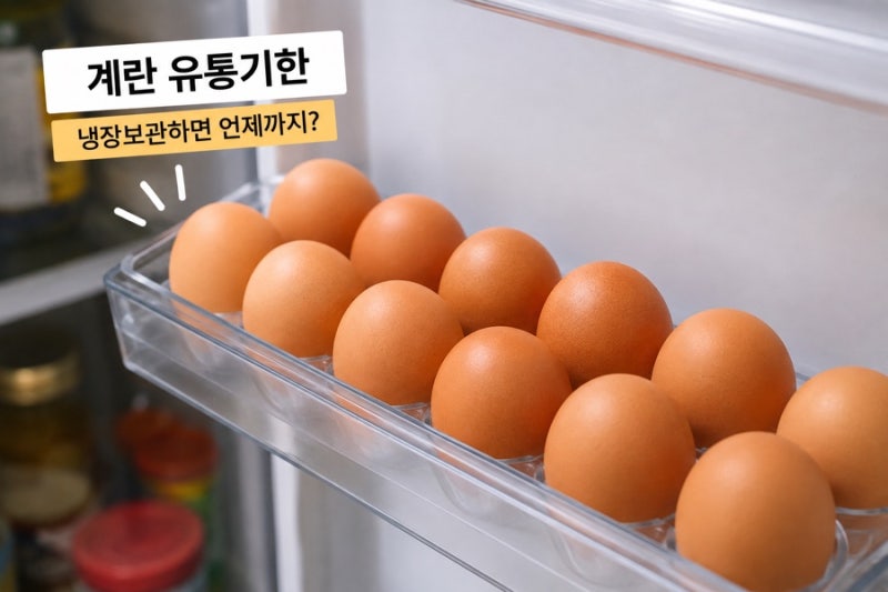 계란 유통기한 냉장보관하면 언제까지? 소비기한과 상한 계란 구별법