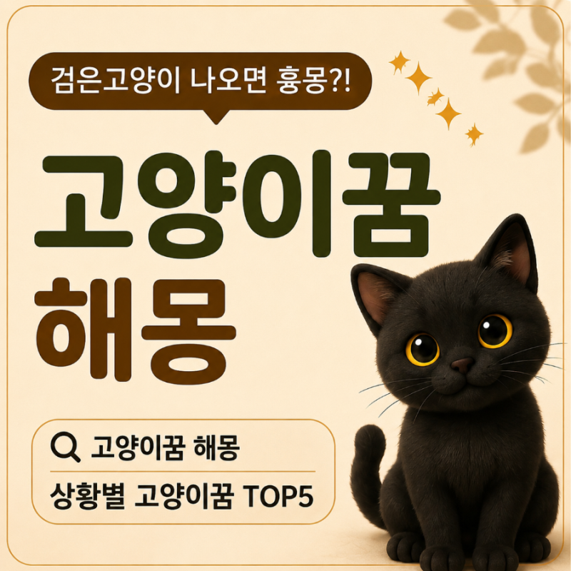 검은고양이 꿈꾸면 안 좋다고? 고양이에게 물리는 꿈까지 꿈해몽 TOP5