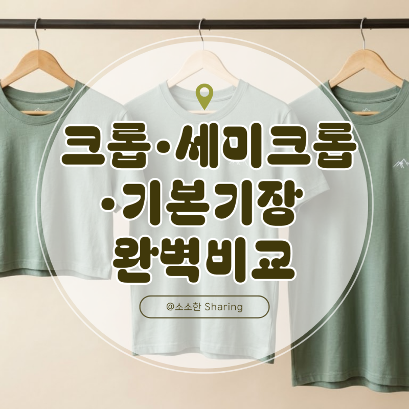 티셔츠 5cm 차이가 이렇게 크다고? 크롭 세미크롭 기본기장 완벽비교