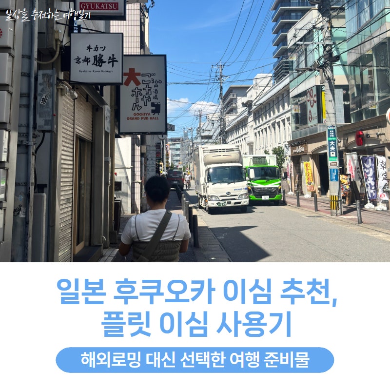 일본 후쿠오카 이심 추천, 플릿 이심 사용기 - 해외로밍 대신 선택한 여행 준비물