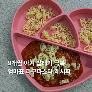 9개월 아기 라구 소스 만들기 라구파스타 레시피
