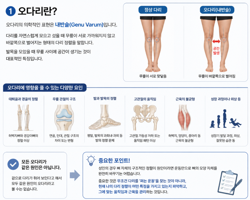 [계명대 헬스] 오다리 교정, 운동으로 가능할까? 오다리의 원인과 올바른 운동법