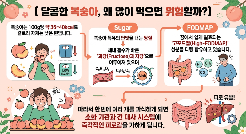 복숭아 많이 먹으면 생기는 부작용 4가지! 복부 팽만부터 혈당 스파이크까지