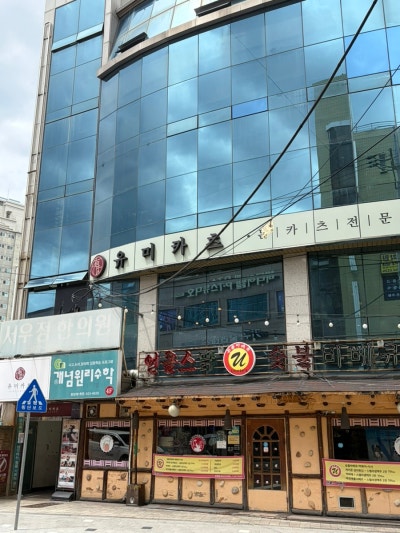 성북구 돈가스 유미카츠 종암점 방문 후기