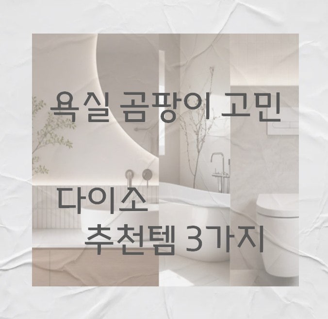 욕실 곰팡이 줄이는 방법? 다이소 욕실 추천템 3가지!