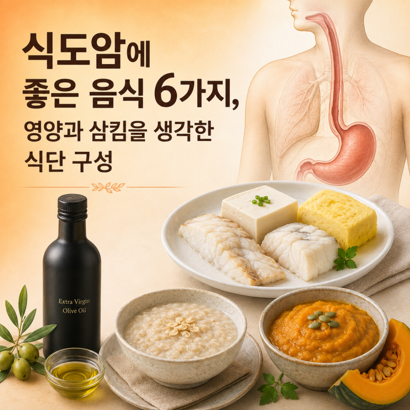 식도암에 좋은 음식 6가지, 영양과 삼킴을 생각한 식단 구성