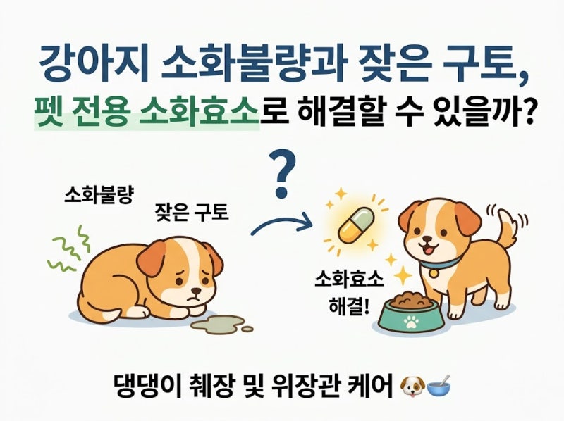 강아지 소화불량과 잦은 구토, 펫 전용 소화효소로 해결할 수 있을까? 댕댕이 췌장 및 위장관....