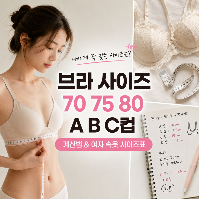 브라 사이즈 70 75 80, A B C컵 계산법과 여자 속옷 사이즈표
