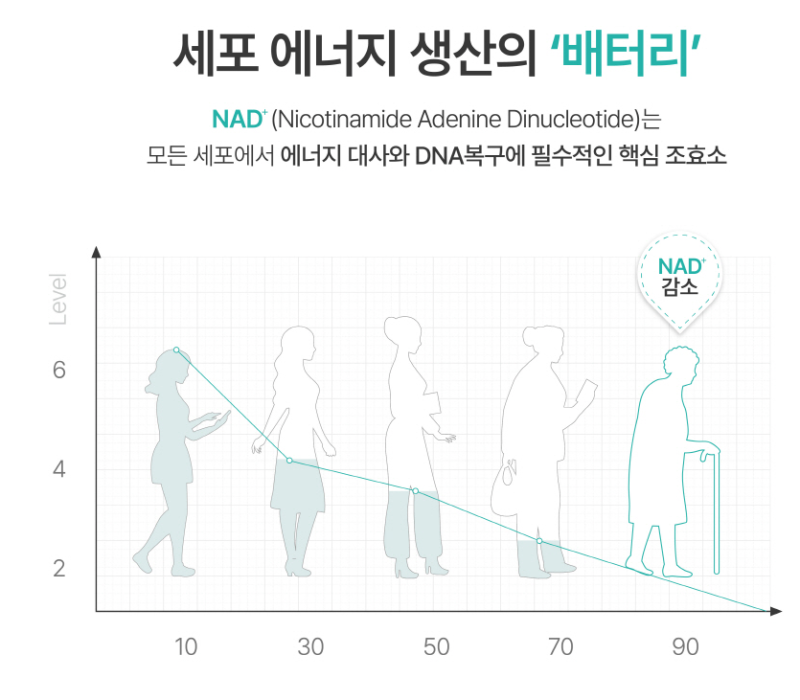할리우드수액, 나드주사, 나도 맞아봤다!!!