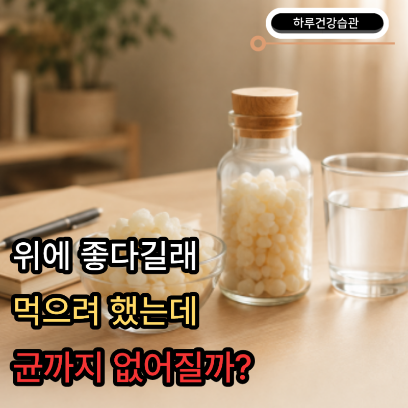 위에 좋다던 ‘매스틱검’…헬리코박터균까지 없애준다는 말, 정말일까?