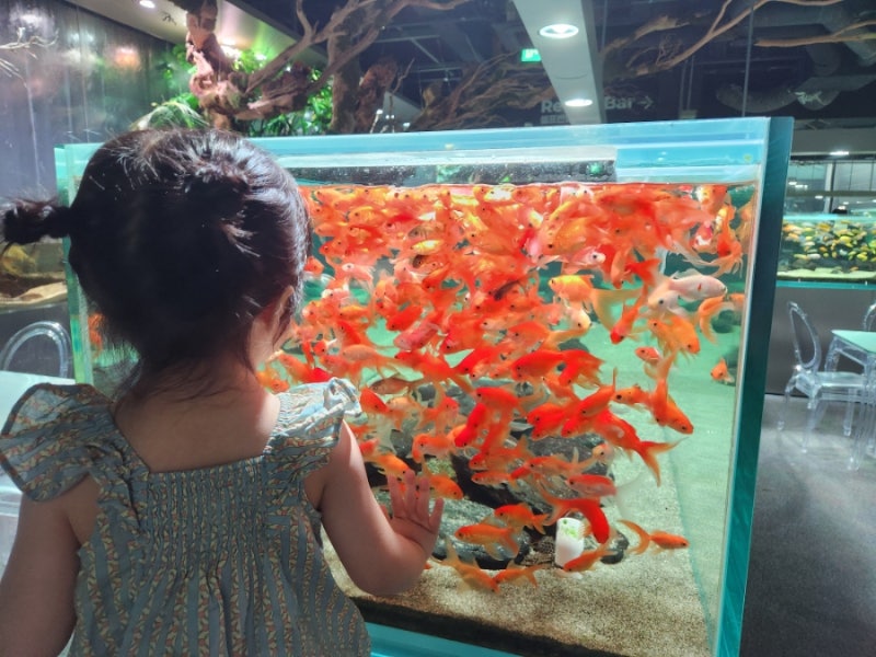 오렌지아쿠아 / 아쿠아가든 / 수족관 / 물고기카페 / 아쿠아리움카페 / 일산역카페 / 일산카페....
