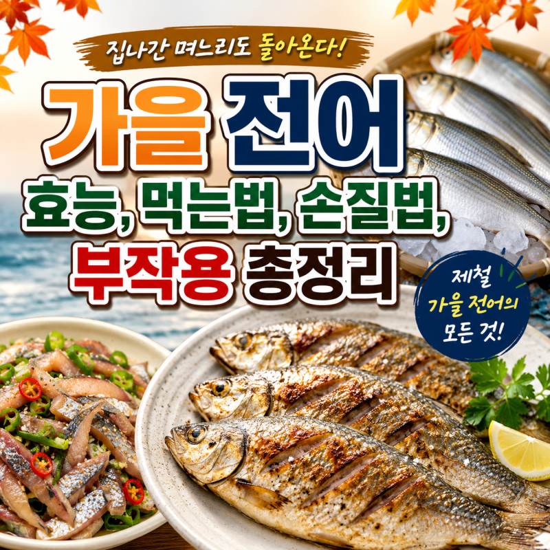 전어 효능, 제철 먹는방법 손질법 주의점까지 총정리 가을에 더 맛있는 이유