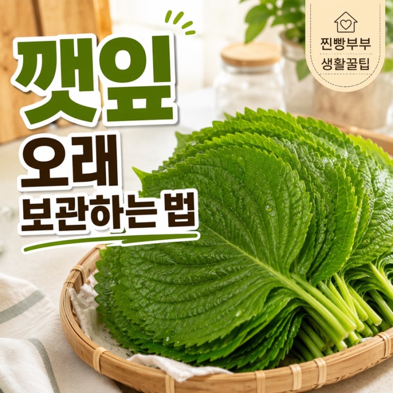 생활꿀팁 #013 | 깻잎 보관법, 금방 시들지 않게 오래 보관하는 냉장·냉동 방법