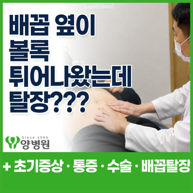 배꼽 옆이 볼록 튀어나왔다면 탈장일까요? 초기증상·통증과 수술이 필요한 경우 | 강동구 외....