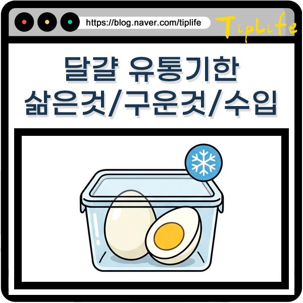 삶은 달걀 유통기한 표시 확인법 및 미국산 일본 수입 구운 깨진 계란 상태 냉장 보관 시 차....