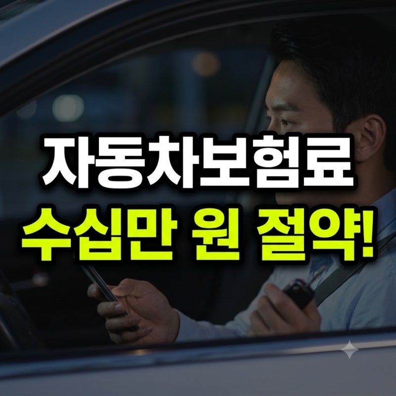 자동차 보험료 30만 원 아낀 다이렉트 비교 견적 팁: 특약·경력인정 총정리