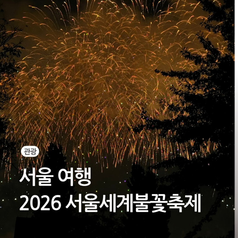 서울 세계 불꽃축제 2026 명당 시간 한강 위치 여의도 vs 당인리발전소 후기 준비물