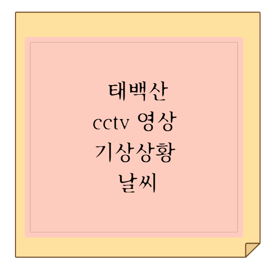 태백산국립공원(천제단) 실시간 cctv 영상 기상상황 날씨 눈 비 확인하기