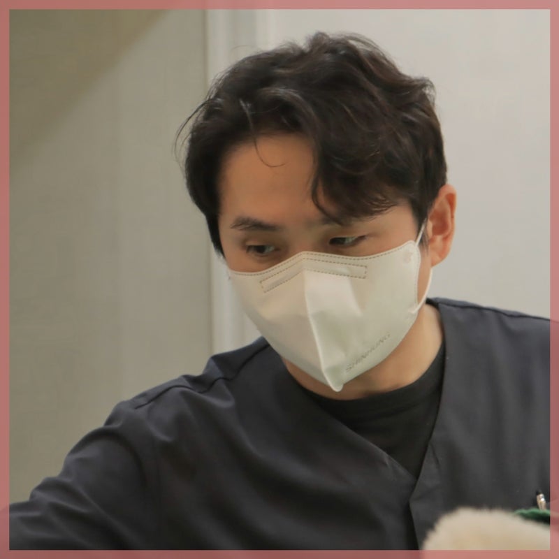 치아 충치 레진 인레이 지르코니아 크라운 등 선택 기준 총정리