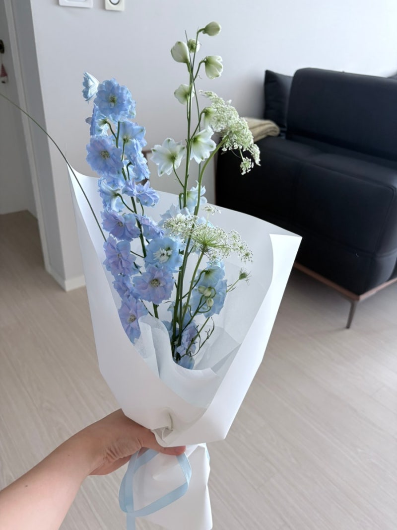 꽃다발 오래 싱싱하게 보관하는 법 시들지 않게 예쁘게 유지하는 꿀팁