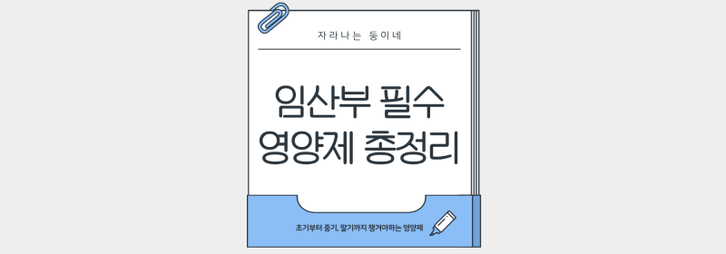 [임신 정보] 임산부 영양제 언제 뭘 먹어야 할까?(주수별 영양제 역할 및 쌍둥이 임산부 복용 ....