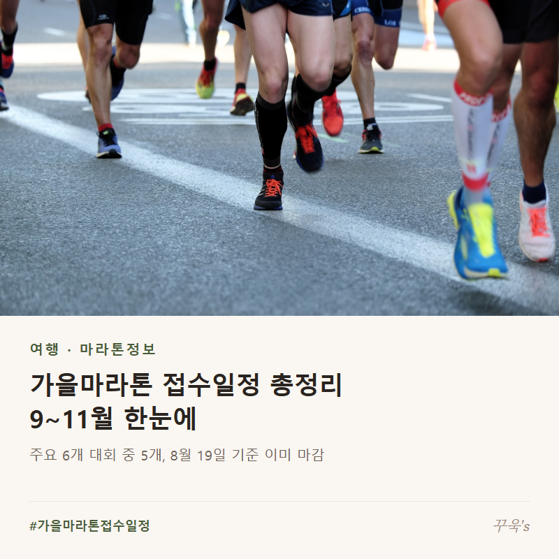 2026년 가을마라톤 접수일정 총정리, 9~11월 한눈에
