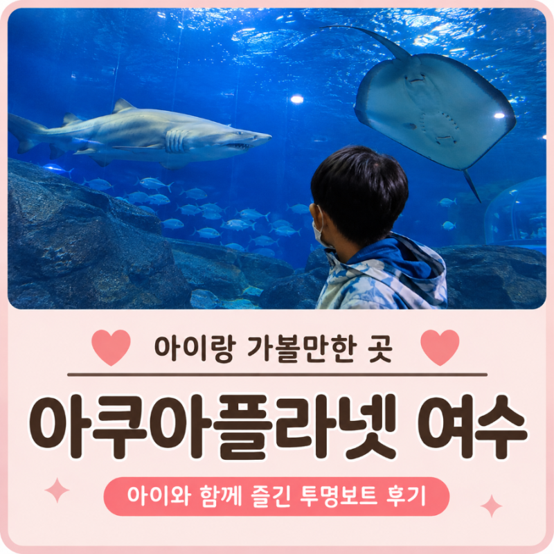 여수 아이와 가볼만한곳 아쿠아플라넷 여수 투명보트 먹이주기 후기