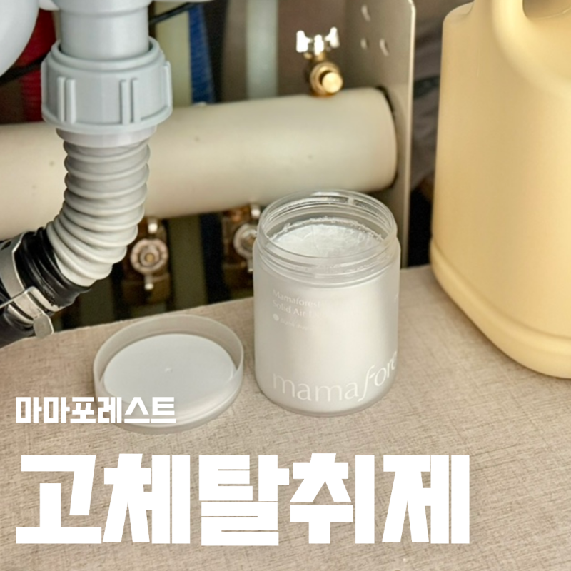 신발장, 싱크대 하부장, 옷장, 차량 냄새에 고체탈취제 직접 사용해본 후기