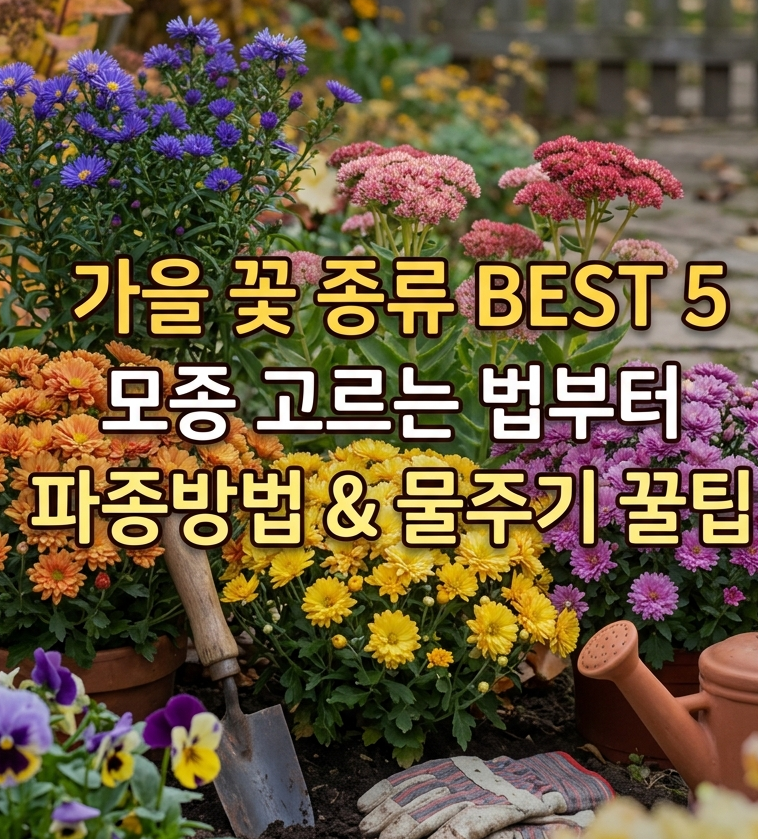 가을 꽃 종류 BEST 5 (+지금 심는 가을꽃 모종 고르는 법부터 씨앗 파종방법 꿀팁)