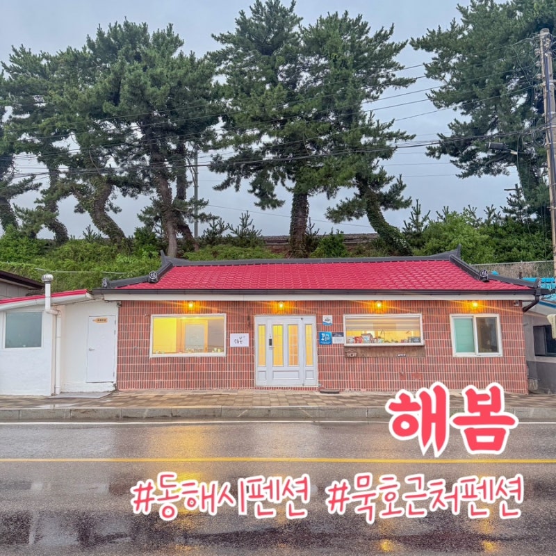 동해 펜션 파도 소리가 들리는 단독 독채 오션뷰 펜션 해봄 솔직후기