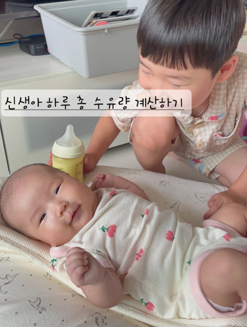 신생아 하루 적정 총 수유량, 분유량 기준 계산법