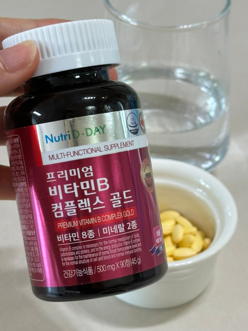 뉴트리디데이 프리미엄 비타민B 컴플렉스 골드 90정 섭취 후기, 영양제 추천