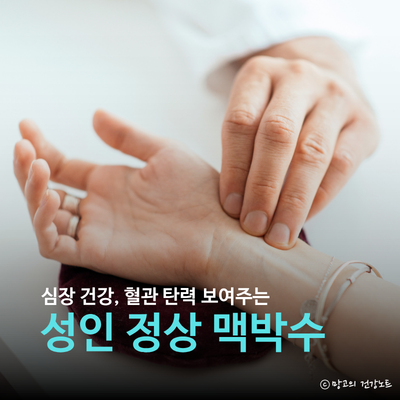 심장 건강 보여주는 성인 정상 맥박수치 및 맥박 재는법ㅣ이상 기준 빈맥 서맥