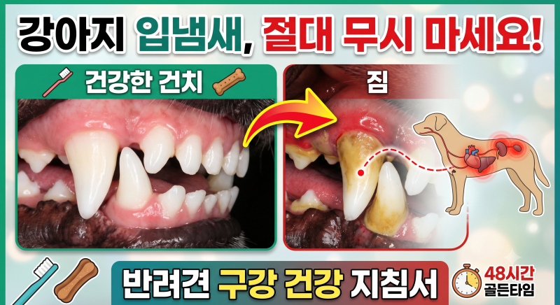 강아지 심한 입냄새, 원인과 스트레스 없는 양치법 총정리!