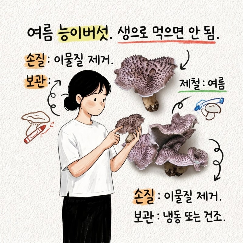 생으로 먹으면 안되는 여름 능이버섯 먹는법 알고 손질법 보관법 제철 가격 특징