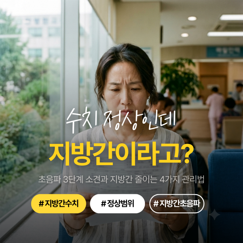 지방간 수치 AST·ALT 정상인데 왜 위험할까? 초음파 소견 3단계와 지방간 줄이는 4가지 관리법