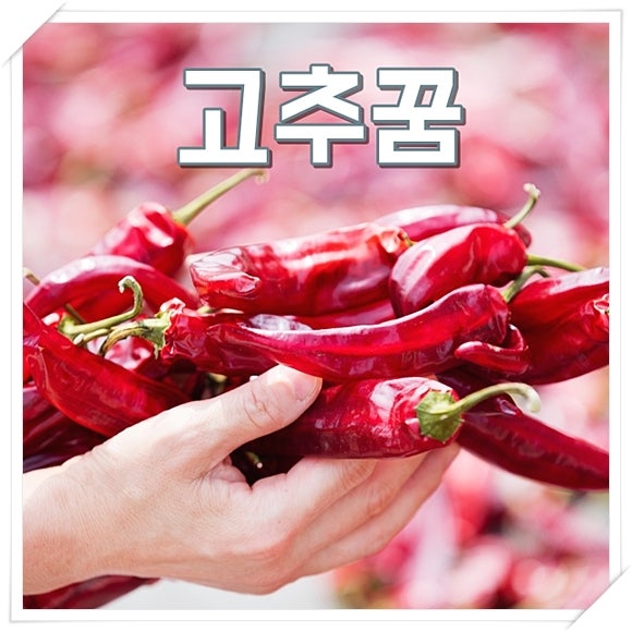 고추꿈 해몽 고추말리는꿈 상황별 6가지 풀이