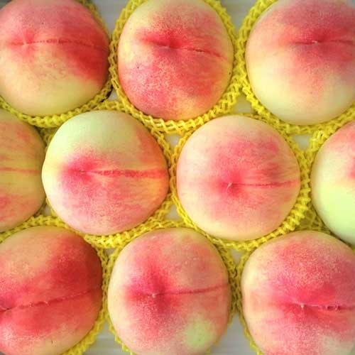 8월 제철과일 복숭아, 맛있는 복숭아 고르는 법과 보관법